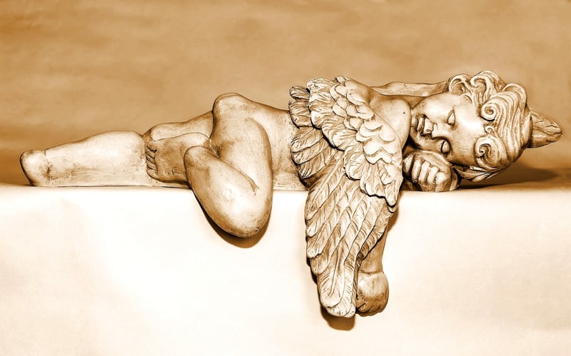 Winged Accessories